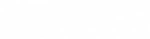 Piotnet Addons For Elementor