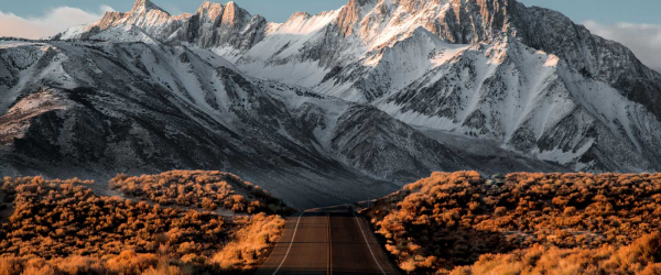 Lightbox Image Gallery 1 Lightbox Image Gallery 1 Caption. Lorem ipsum dolor sit amet, consectetur adipiscing elit. Ut elit tellus, luctus nec ullamcorper mattis, pulvinar dapibus leo.